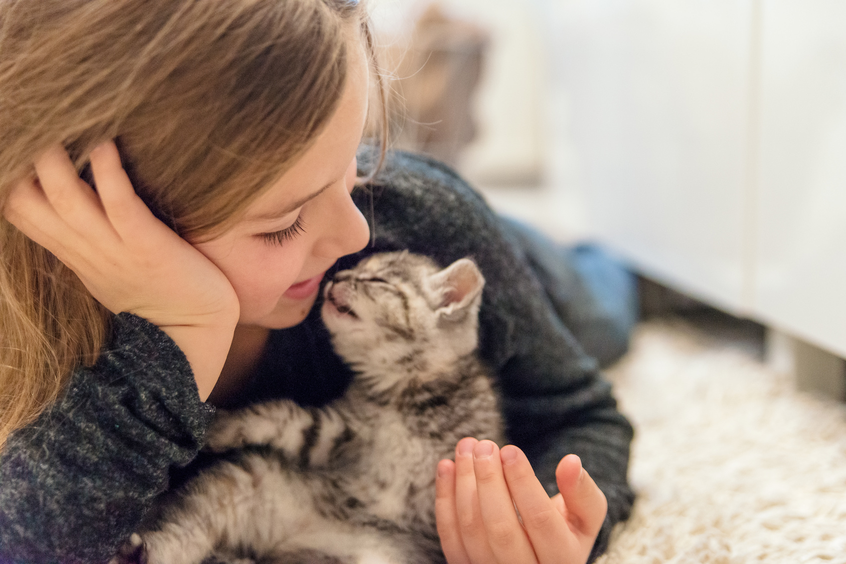 Petite fille qui joue avec une chaton rayé gris