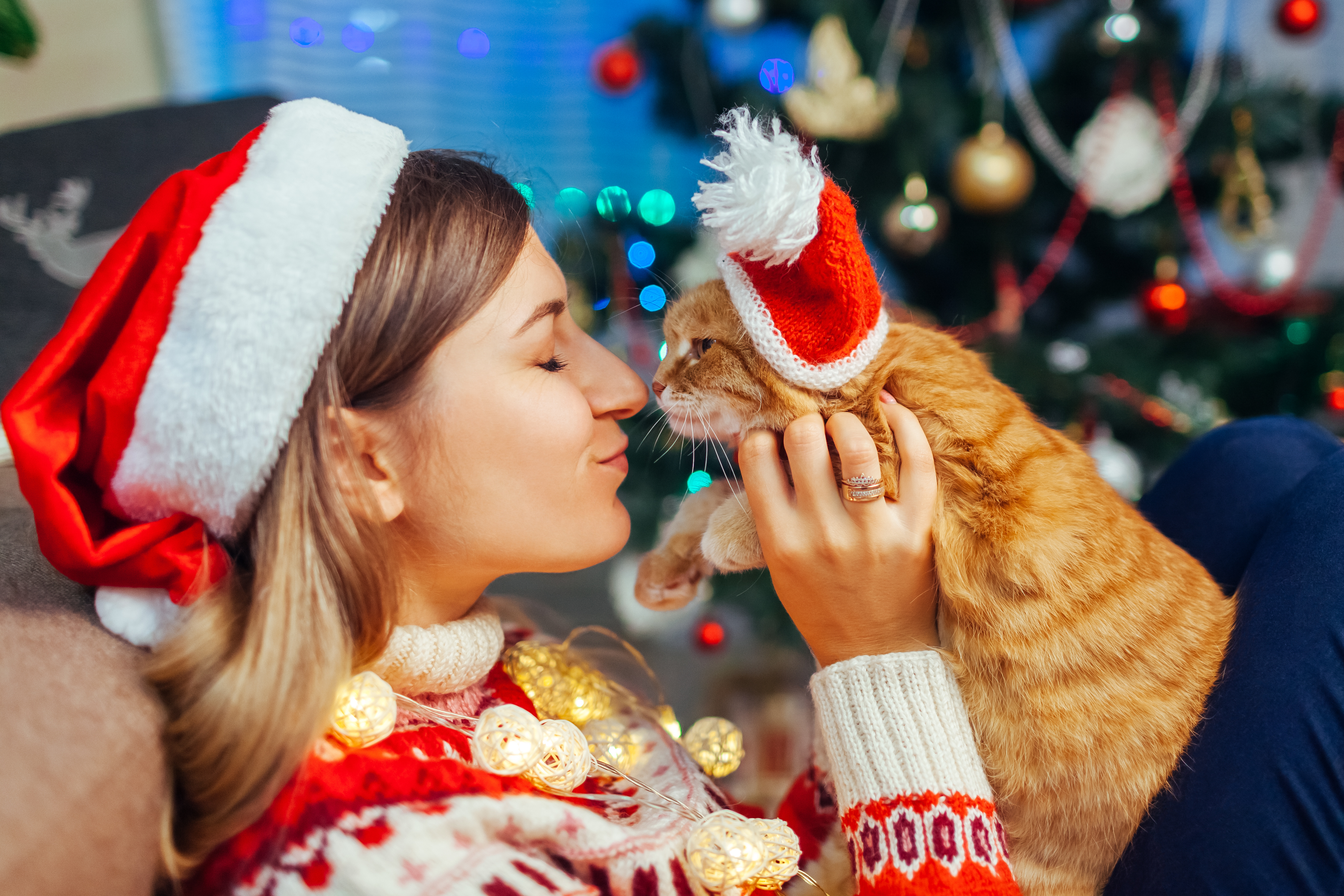 Choisir un cadeau de Noël pour son chat