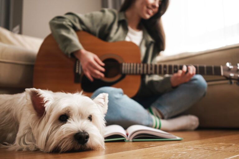 Musique de relaxation pour chien