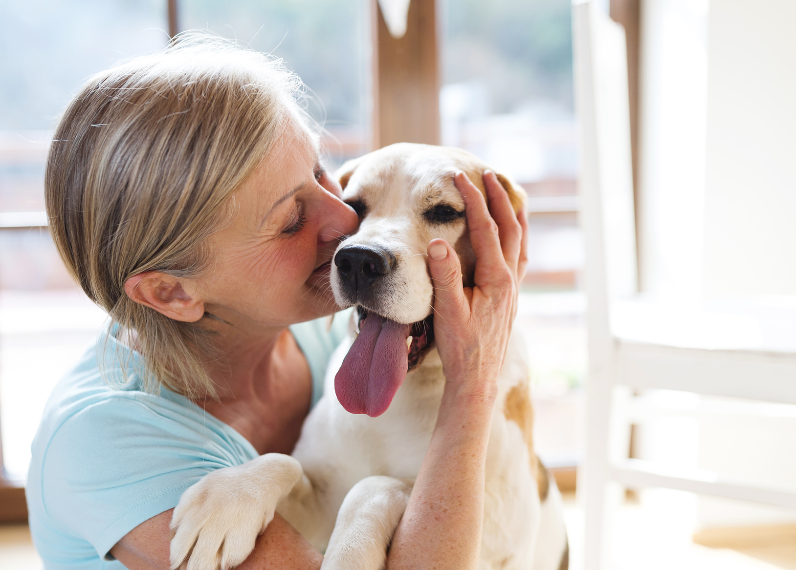 Chien heureux qui retrouve son maitre à la maison