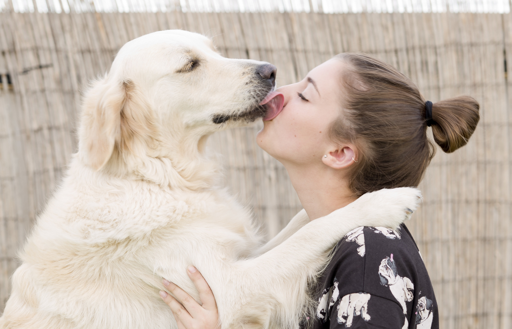 chien heureux qui fait un câlin à son maître