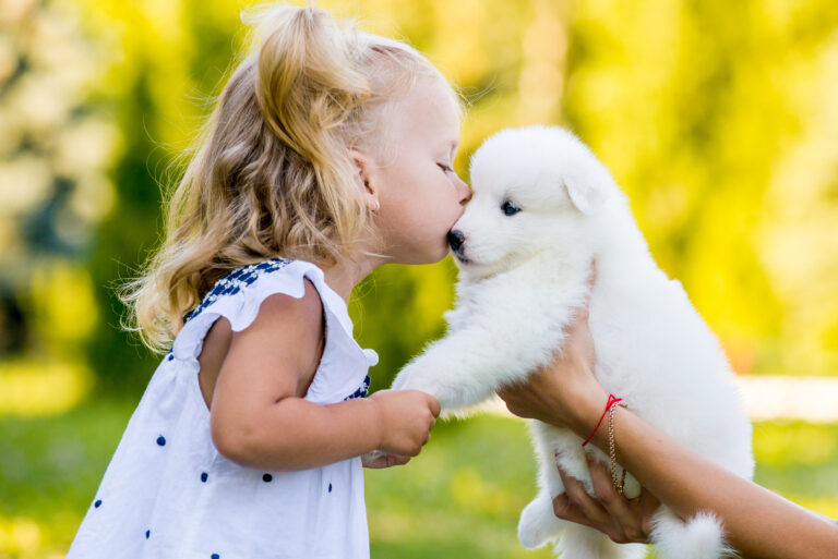 Une petite fille dépose un bisou sur la truffe de son chien