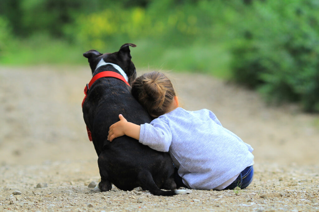 Un chien de famille et un enfant