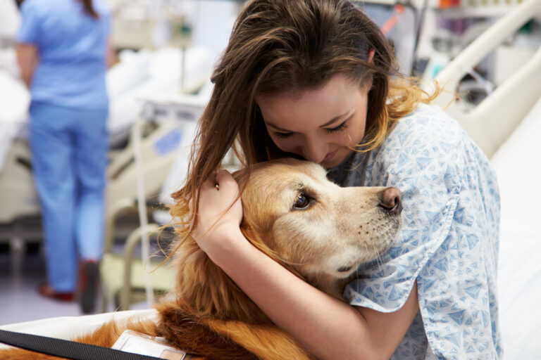 Un chien de thérapie avec une malade dans un hôpital