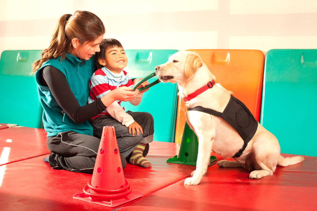 Un chien de thérapie joue avec un enfant