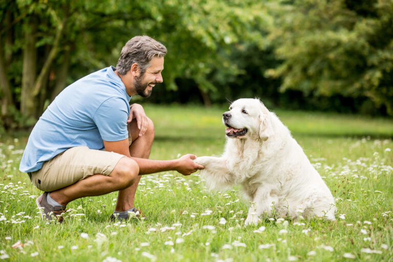 Un éducateur canin apprend à un chien à donner la patte