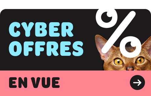 cyber offres