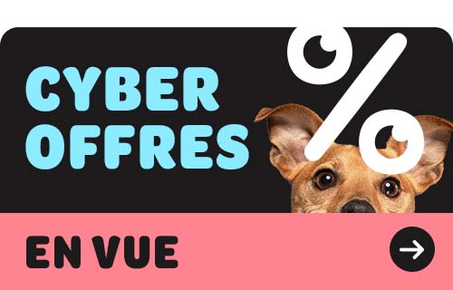 cyber offres